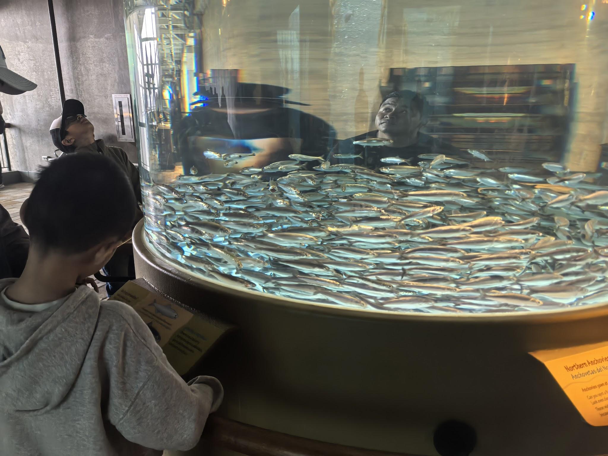 Monterey Bay Aquarium