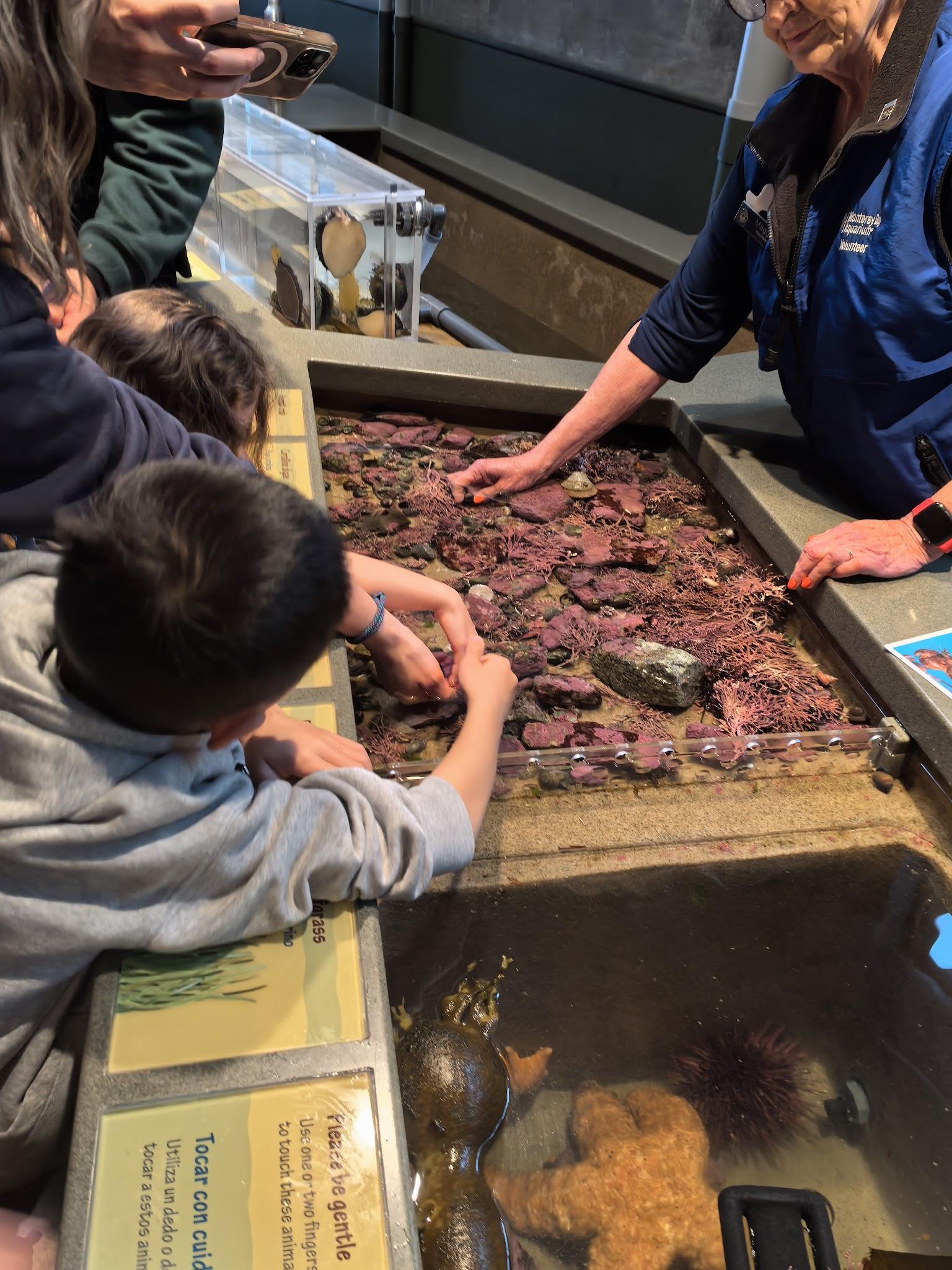 Monterey Bay Aquarium