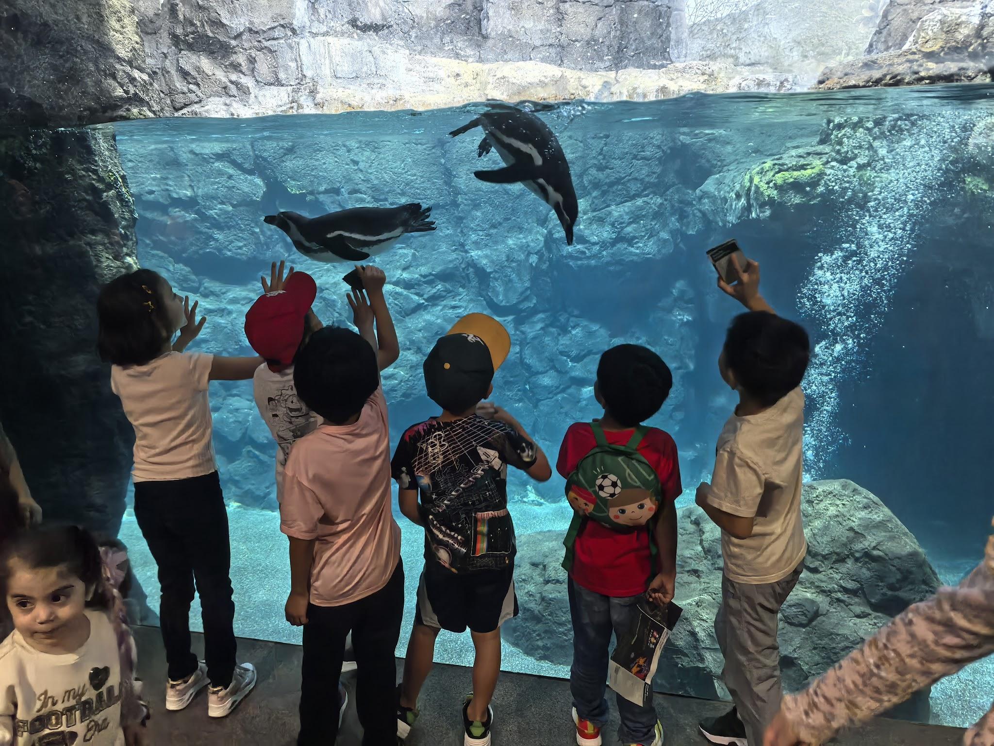 Houston Zoo visit